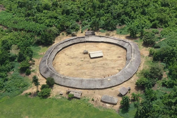 Foto: Reprodução/ Hutukara Associação Yanomami