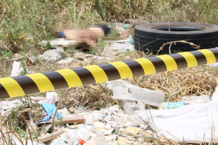 Foto: Jander Robson / Portal do Holanda