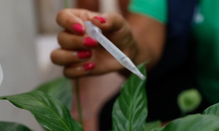 Foto: Fernando Frazão / Agência Brasil