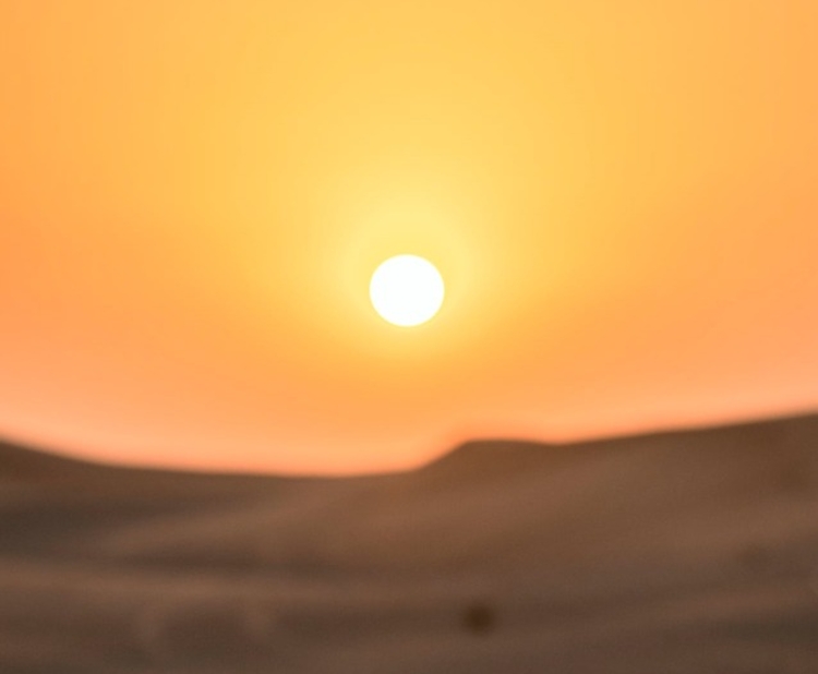 Foto: Reprodução Pexels