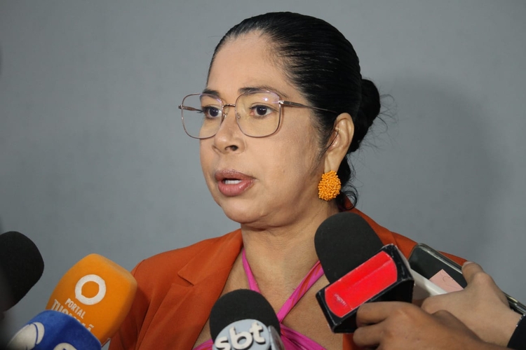 Delegada Joyce Coelho, titular da Depca. - Foto: Jander Robson / Portal do Holanda