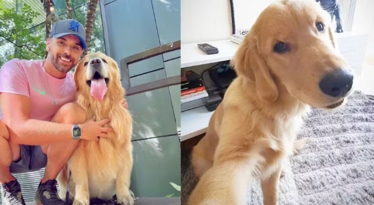 Joca com seu tutor - Fotos: Arquivo Pessoal