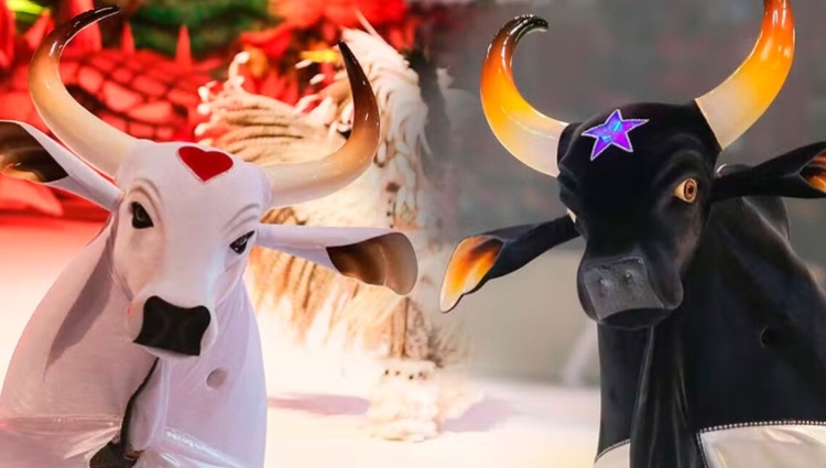 Garantido e Caprichoso - Foto: Divulgação