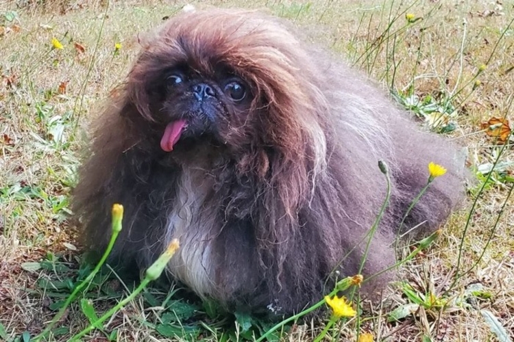 Foto: Reprodução/Instagram