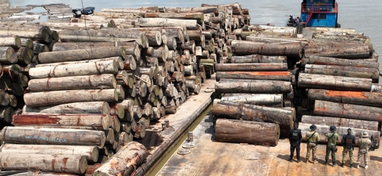 Foto: Divulgação PF-AM