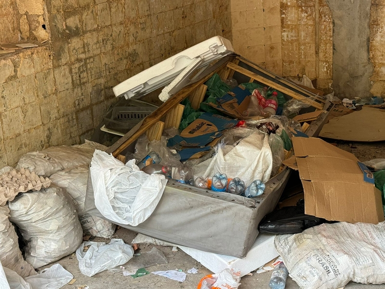 Foto: Neto Silva/Portal do Holanda