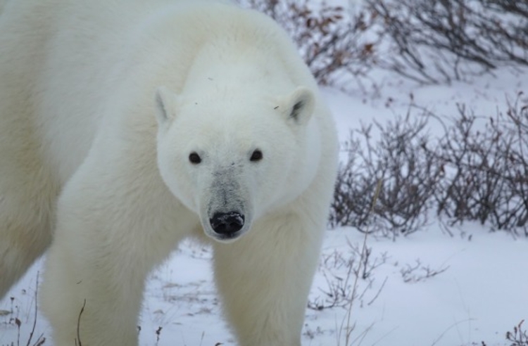 Imagem: Ilustrativa/Pixabay