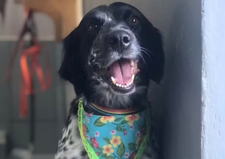 Foto: Arquivo pessoal/Angélica Alves Fernandes