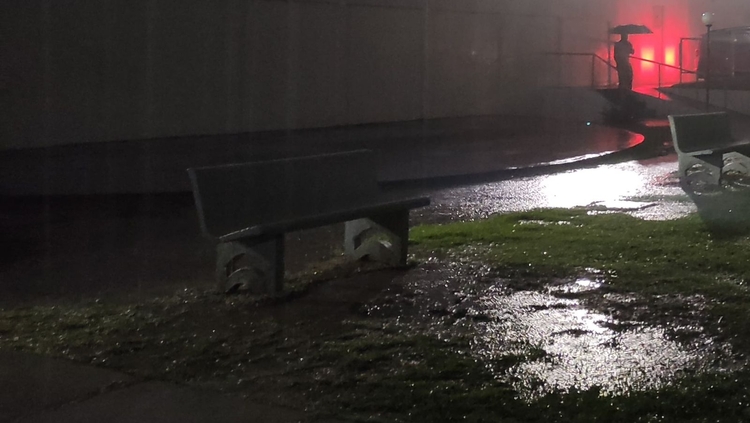 Foto: João Paulo / Divulgalção