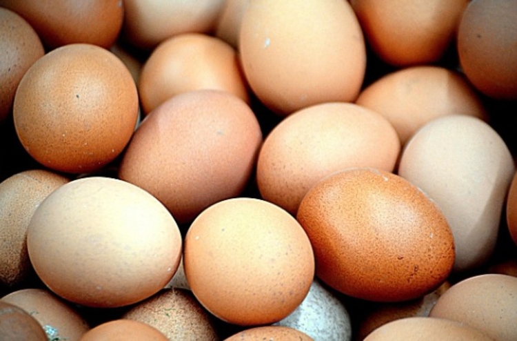 Imagem: Ilustrativa/Pixabay