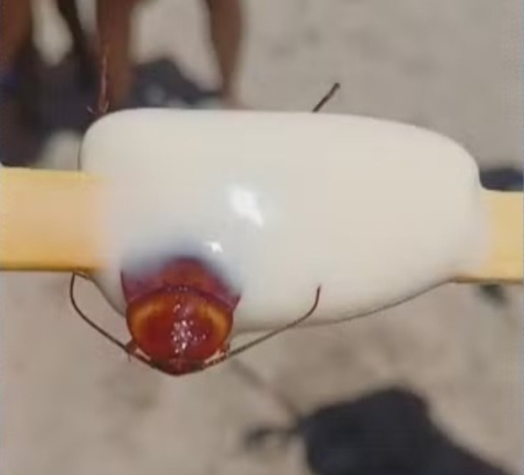 Foto: Reprodução / TV Globo