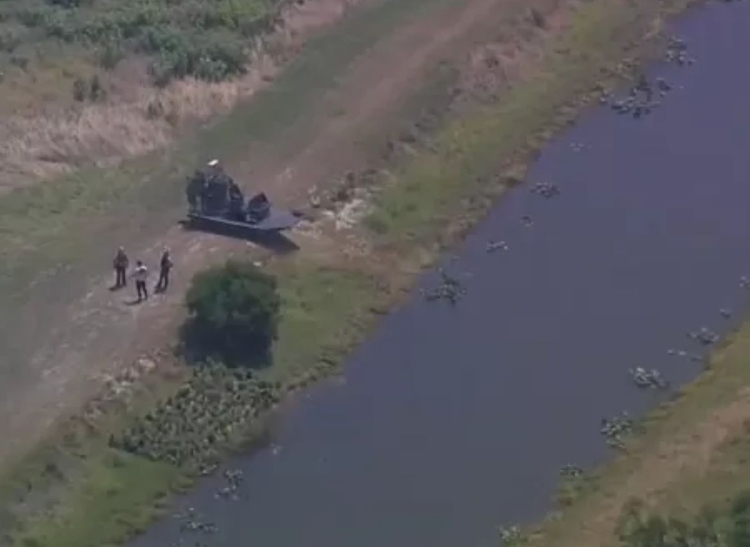 Foto: Reprodução / Fox News