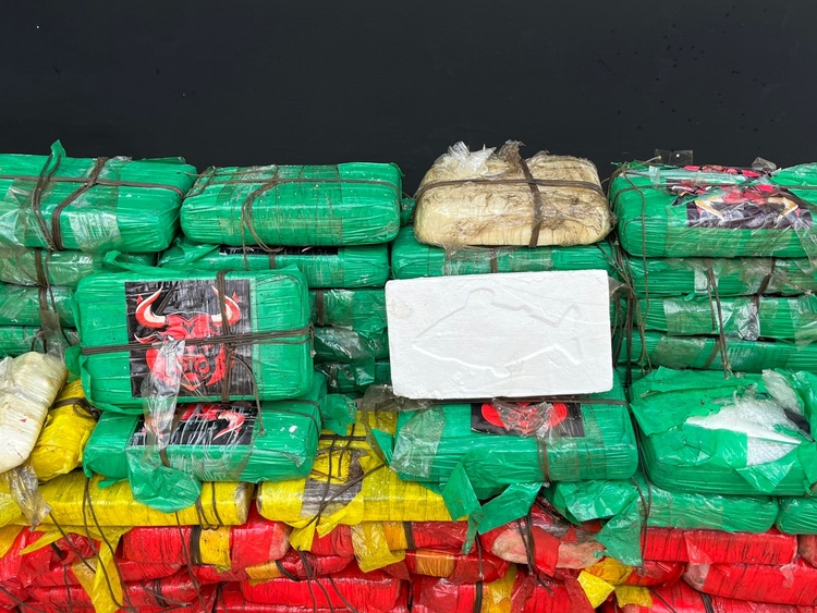 Drogas avaliadas em R$ 12 milhões - Foto: Jander Robson/ Portal do Holanda