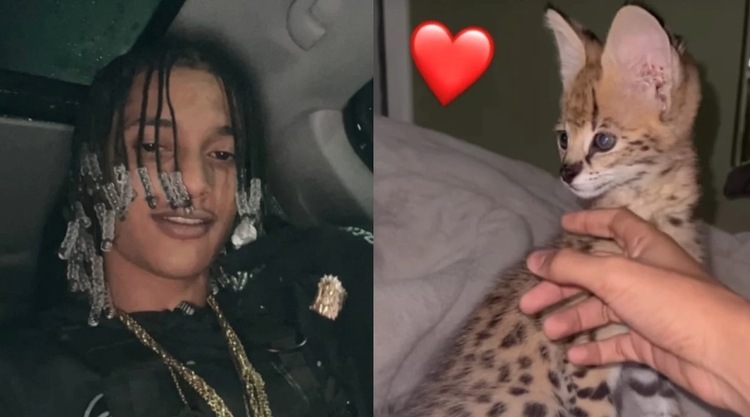 Foto: Reprodução Instagram