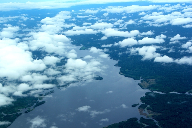 Foto: Divulgação Ipaam