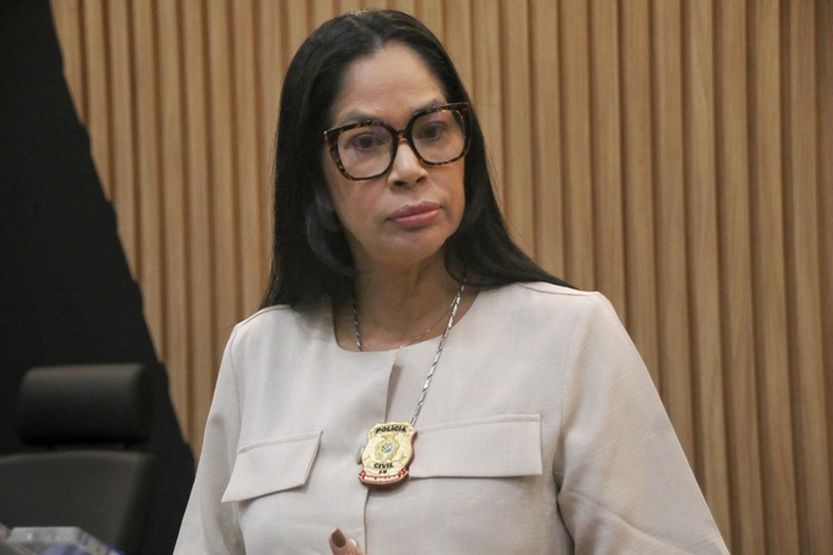 Delegada Joyce Coelho - Foto: Jander Robson/Portal do Holanda