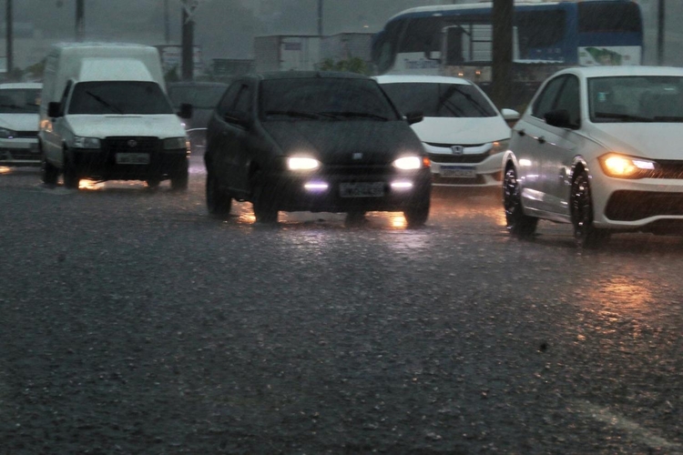 Foto: Jander Robson / Portal do Holanda