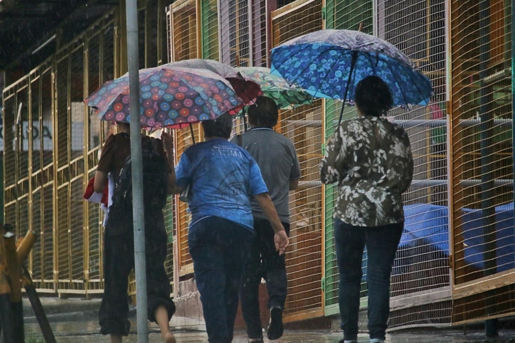 Chuva atinge mais municípios - Foto: Jander Robson/Portal do Holanda