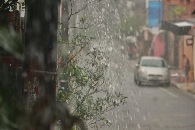 Foto: Jander Robson / Portal do Holanda