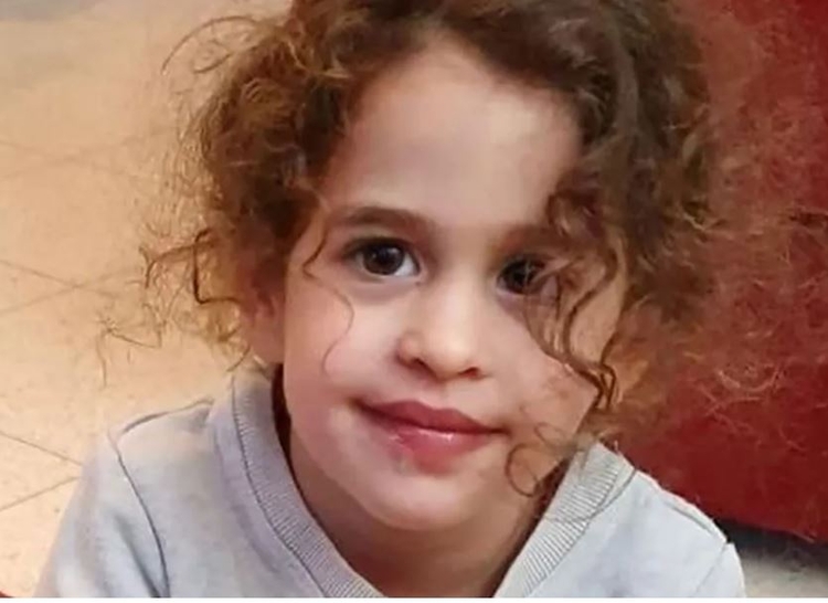 Foto: Arquivo pessoal/Elizabeth Hirsh Naftali