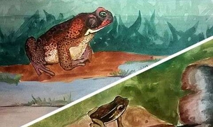 Museu vai disponibilizar Trilha dos Sapos