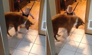 Cãozinho ensina bebê como brincar 
