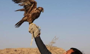 Príncipe saudita mata 2 mil pássaros em risco de extinção durante caça no Paquistão