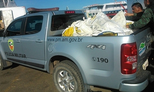 Carga de 626 kg de pirarucu é apreendida