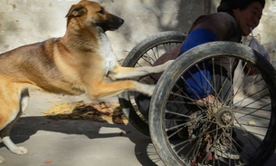 Cão causa comoção ao ajudar seu dono na cadeira de rodas 