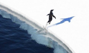 Degelo na Antártica é 10 vezes mais rápido que há 600 anos