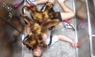  Cachorro-aranha gigante comedor de gente assusta em pegadinha