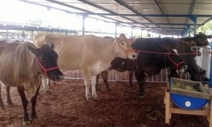 Amazonas Rural deslancha e alavanca setor primário em 2014, diz deputado