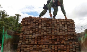 Polícia ambiental apreende 7,448 m3 de madeira extraída ilegalmente