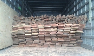 Batalhão Ambiental apreende 8 m³ de madeira serrada na Panair