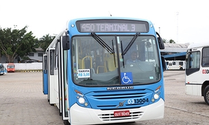 Viação São Pedro recebe 20 ônibus novos