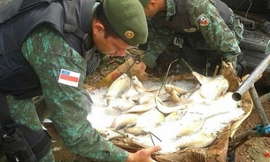 Pescado irregular para o comércio é apreendido no Cacau Pirera