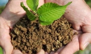 Semed lança Jogos de Educação Infantil e Meio Ambiente nas escolas