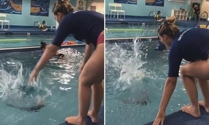 Bebê jogado em piscina causa revolta na web