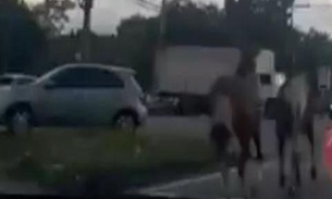 Vídeo: Cavalos correm desesperados em meio à avenida de Manaus 