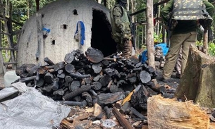 Irmãos são presos por crime ambiental em terra indígena no Amazonas  