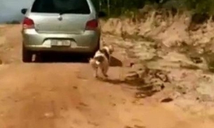 Cachorro é amarrado em carro e arrastado pela estrada