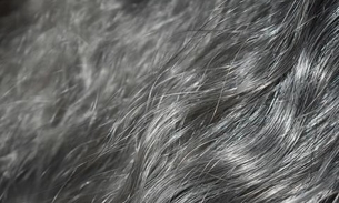 Veja dicas para se livrar dos cabelos brancos usando abacate 