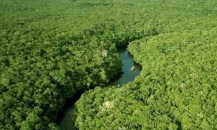 Governo destinará R$ 500 milhões para proteger mata nativa da Amazônia