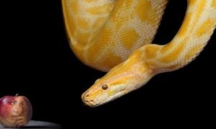 Sobre ‘Poder’ ficar com a mulher do melhor amigo