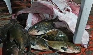 Operação Hórus apreende quase 1 tonelada de pescado e carne ilegal