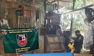 Com olhos perfurados, galos de rinha são resgatados em Manaus; dupla foi presa