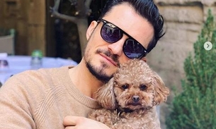Orlando Bloom pede ajuda para encontrar seu cão e oferece recompensa; ‘coração partido’