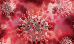 Brasil registra 632 óbitos e mais de 20 mil casos de covid-19 em 24h