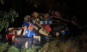 Mais de 6 toneladas de maconha são encontradas por Corpo de Bombeiros em área de mata