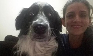 Cachorro morre ao defender dona de ataque de abelhas